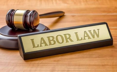 Employment Lawyer Guide: Workplace Disputes, Employee Rights, and Legal Claims