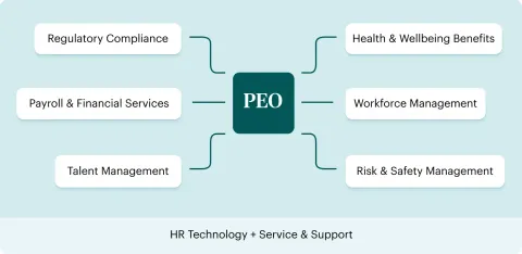 Professional Employer Organization Guide: HR Administration, Payroll, and Workforce Support