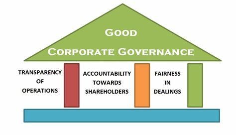 Executive Succession Guide: Leadership Development, Management Transition, and Corporate Stability