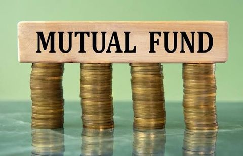 Mutual Fund Guide: Investment Options, Risk Management, and Long-Term Planning