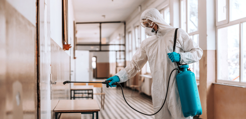 Pest Control Guide: Termite Treatment, Property Protection, and Prevention Methods