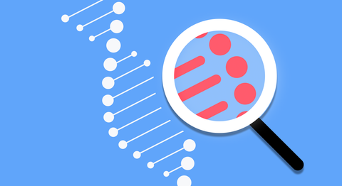 Genetic Testing Guide: DNA Screening, Medical Insights, and Health Information