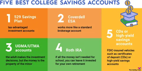 529 College Savings Guide: Education Planning, Account Options, and Tax Advantages