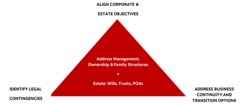 Shareholder Transition Guide: Equity Transfers, Corporate Ownership, and Governance Planning